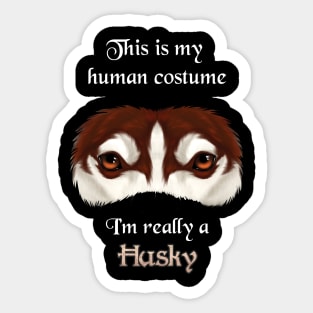 I'm really a Husky - Sticker